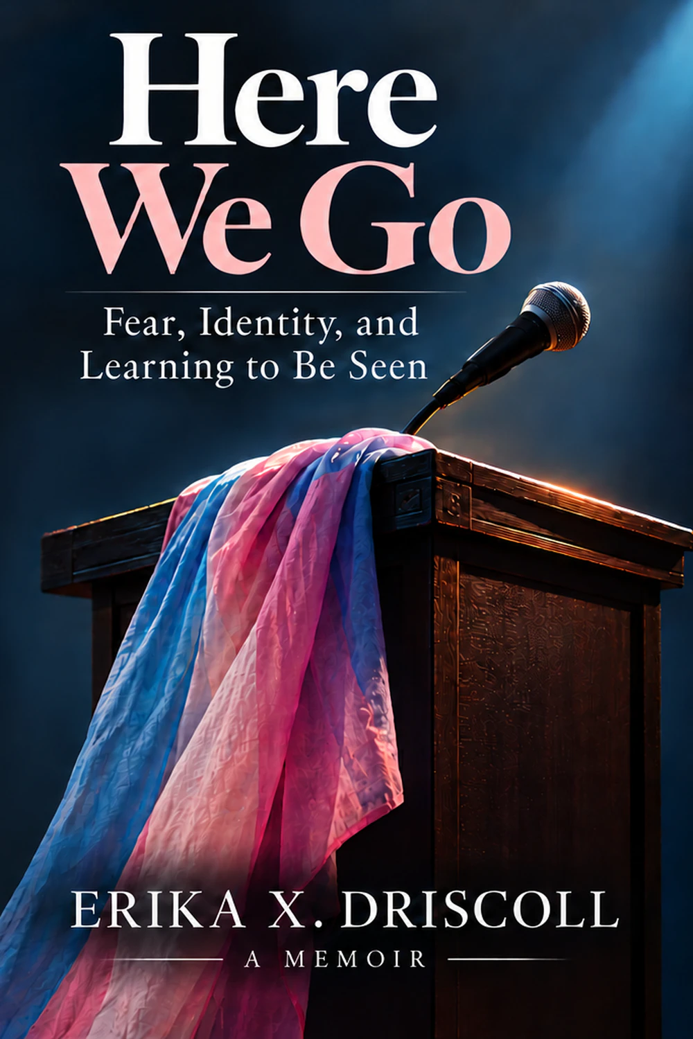 Cover of Here We Go — Fear, Identity, and Learning to Be Seen by Erika X. Driscoll